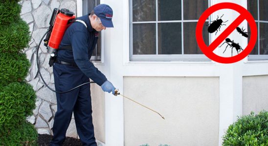 İpekyolu Dezenfeksiyon böcek ilaçlama ve haşere kontrolü — ilaclama-tr.com